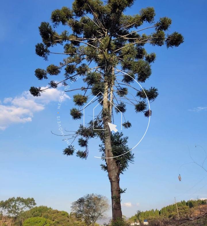 720