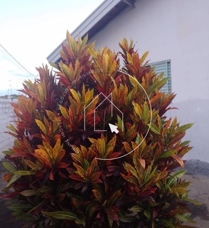 720